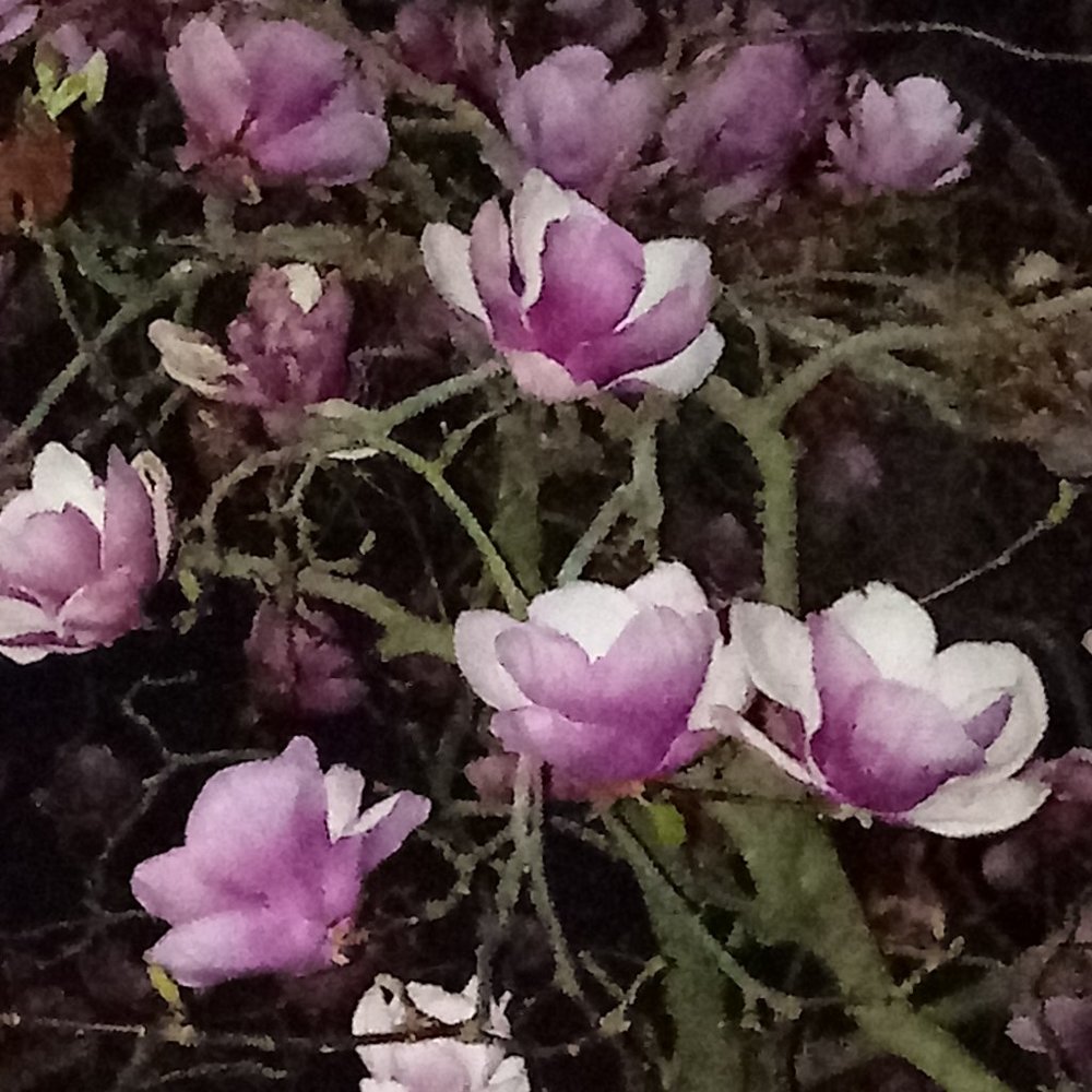 Meet your Posher, A Clothes Horse